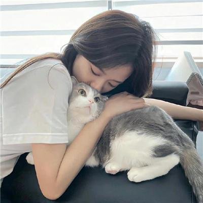 青春同人志